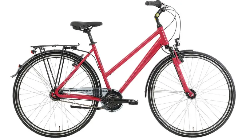 Almeria Trapez Geometry Hybrid Bike 1