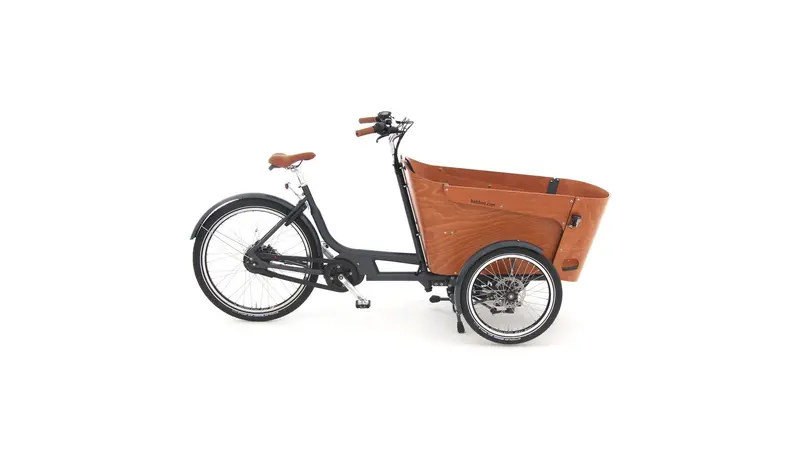 Babboe Carve-E Cargo E-Bike With 500Wh Integrated Battery 1