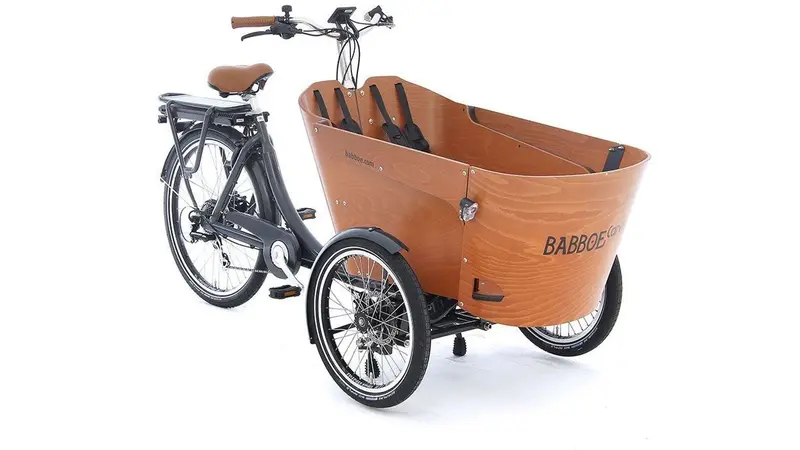 Babboe Carve-E Electric Cargo Bike – 450Wh Battery 1