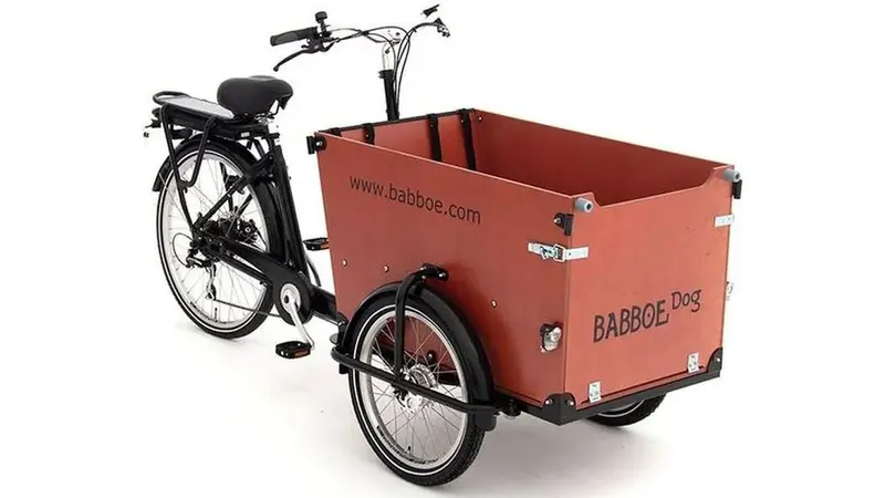 Babboe Dog-E Cargo Bike For Pets 1