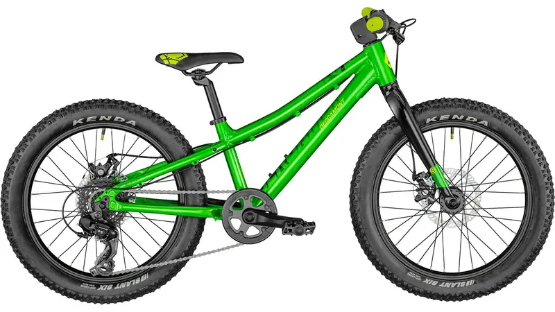 Bergamont Bergamonster 20 Plus Fat-Tire Kids’ E-Bike 1