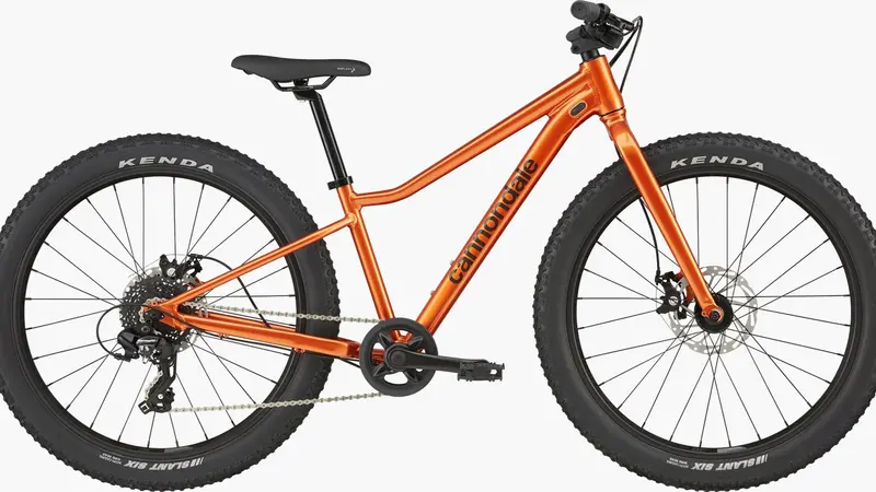 Cannondale Kids Trail Plus 24-Inch Youth Mountain Bike 1