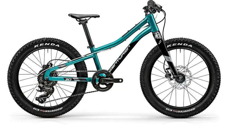 Centurion R'Bock 20 Youth Mtb E-Bike 1