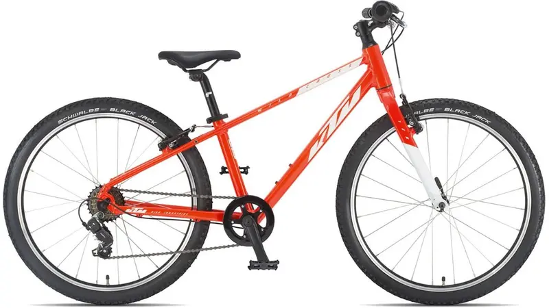 Ktm Wild Cross 24 Youth Adventure Bike 1