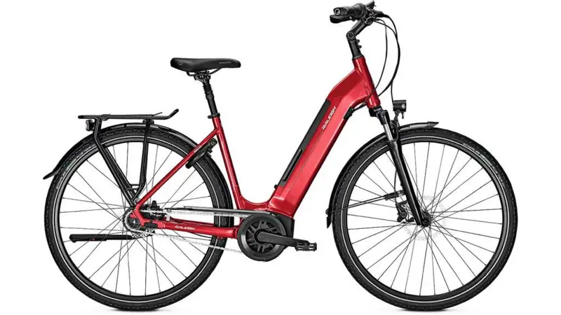 Raleigh Bristol 8-Speed Wave Frame Step-Over 1