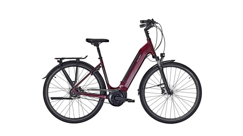Raleigh Bristol Premium Wave Frame Step-Over 1