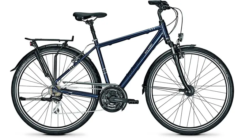 Raleigh Chester 21 Comfort Cruiser 1