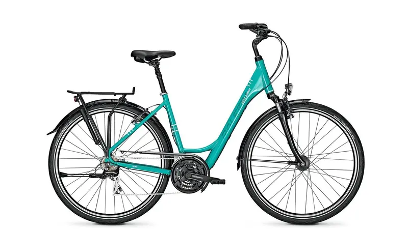 Raleigh Chester 21 Wave All-Terrain Bike 1