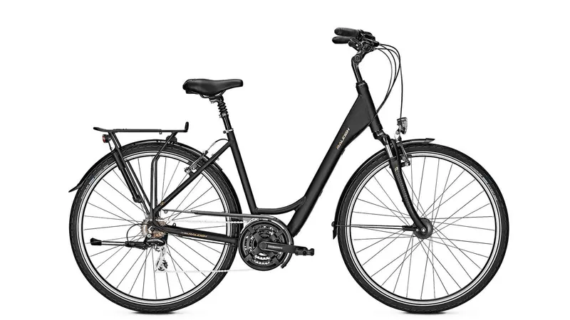 Raleigh Chester 21 Wave Electric Bike – Step-Through Frame 1