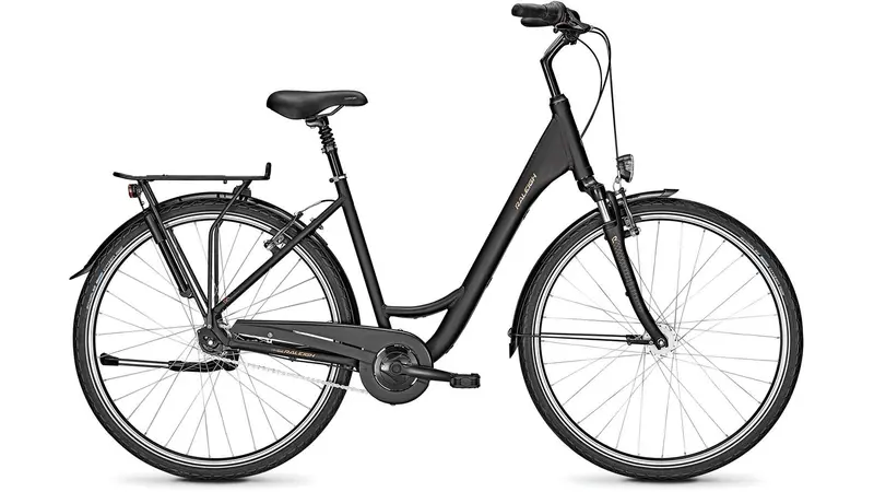 Raleigh Chester 7 Step-Through City Bike 1