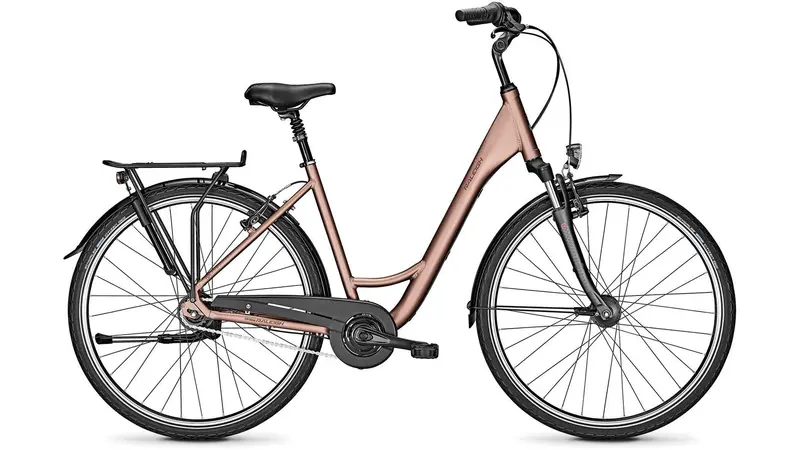 Raleigh Chester 8 Step-Over Hybrid Bike 1