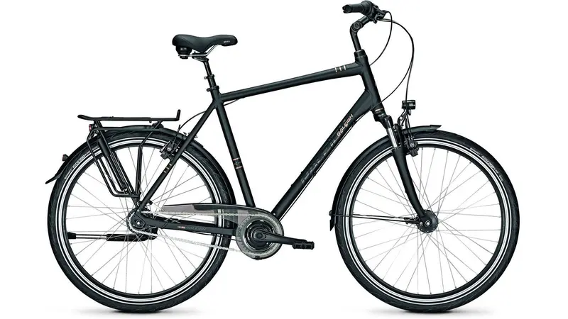 Raleigh Chester 8 Xxl Step-Through Cruiser 1