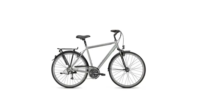 Raleigh Executive 24 He Hybrid Bike 1