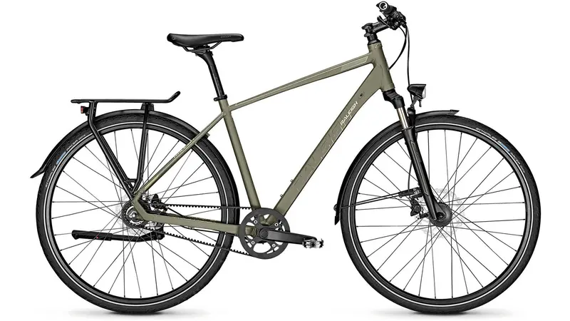 Raleigh Rushhour 6.5 Compact Folding E-Bike 1