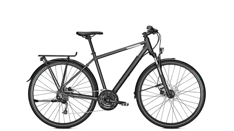 Raleigh Rushhour Ltd Limited-Edition Electric Bike 1