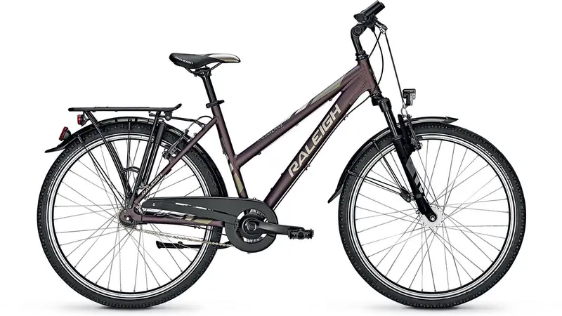 Raleigh Schoolmax Trapez Frame Commuter Bike 1