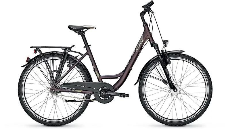 Raleigh Schoolmax Wave Step-Through Model 1