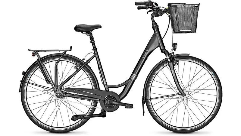 Raleigh Unico Life Comfort-Focused Hybrid Bike 1