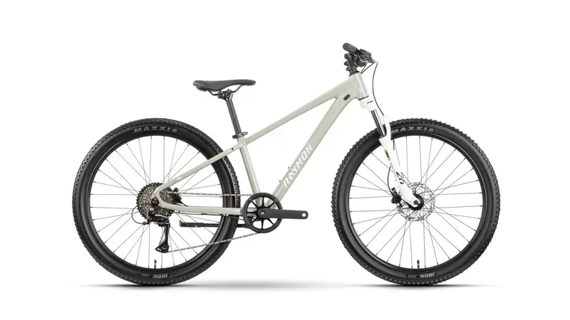 Raymon Nayta 26 Pro Urban Commuter Bike 1