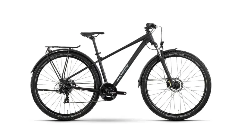 Raymon Nayta Street Urban E-Bike