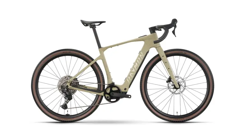 Raymon Norza Comp Urban Electric Bike 1