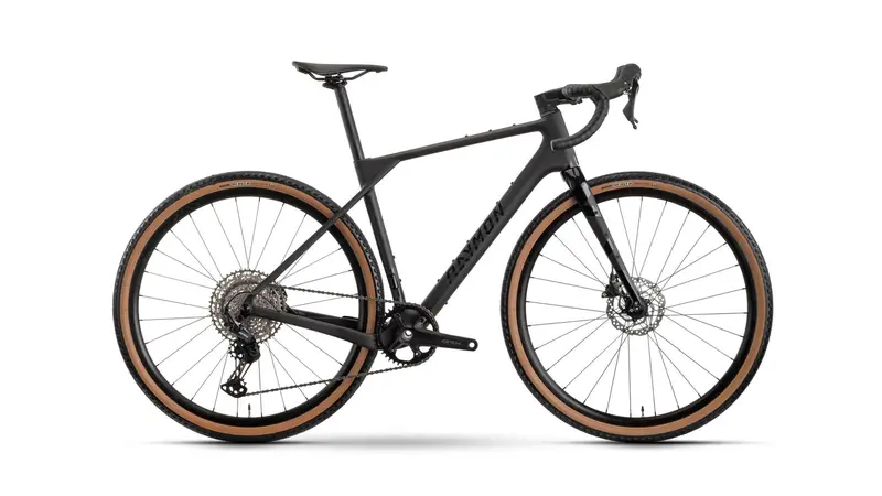 Raymon Sorena Pure E-Mountain Bike 1
