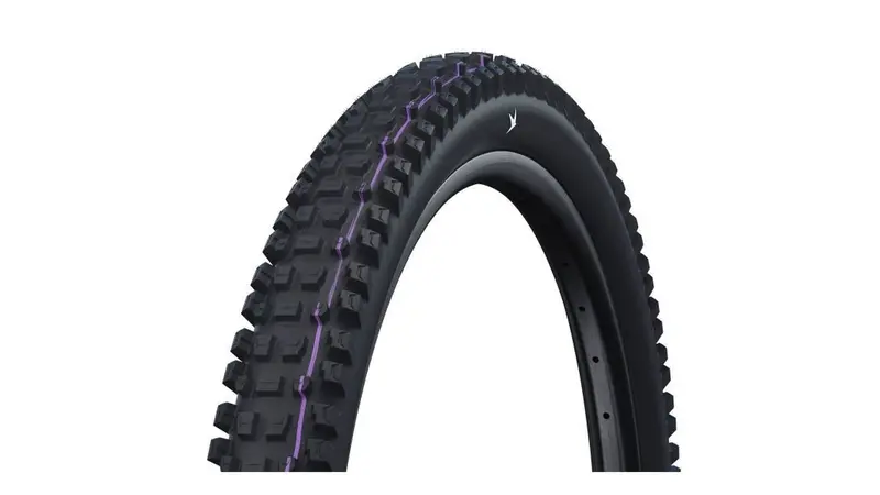 Schwalbe Albert Gravity Pro Radial 29-Inch Downhill Tire 1