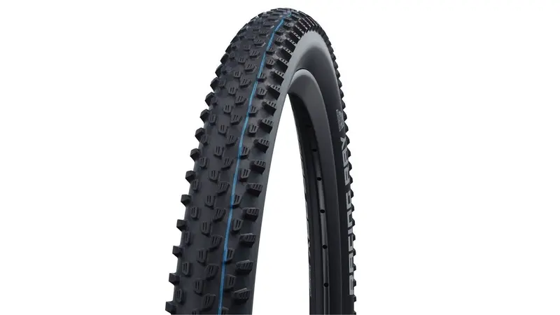 Schwalbe Racing Ray Evo Sgr 29-Inch Road Tire 1