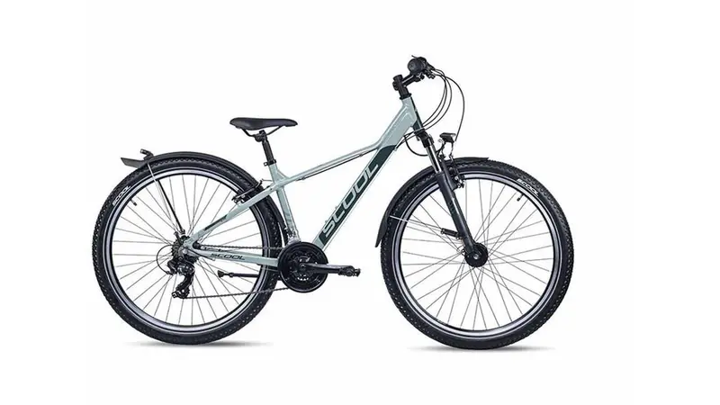 S'Cool Trox Evo Alloy Hardtail Mountain Bike – 27.5", 9-Speed 1