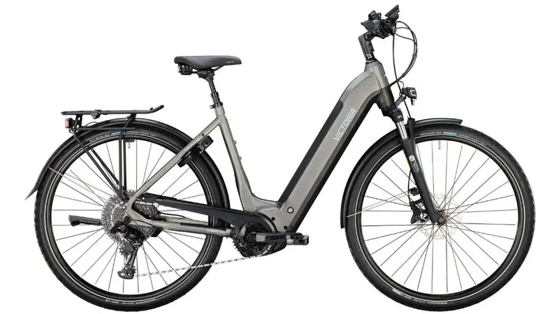 Victoria Tresalo 16-Inch Folding Bike 1