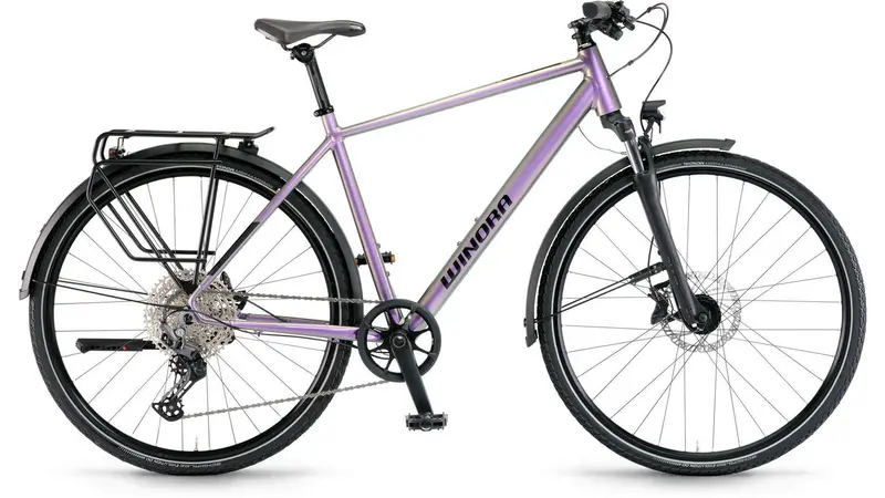 Winora Domingo 12 Pro Premium Trekking Bike 1