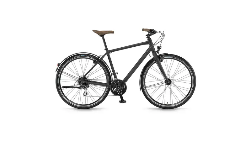 Winora Flitzer Steel Step-Over E-Bike 1